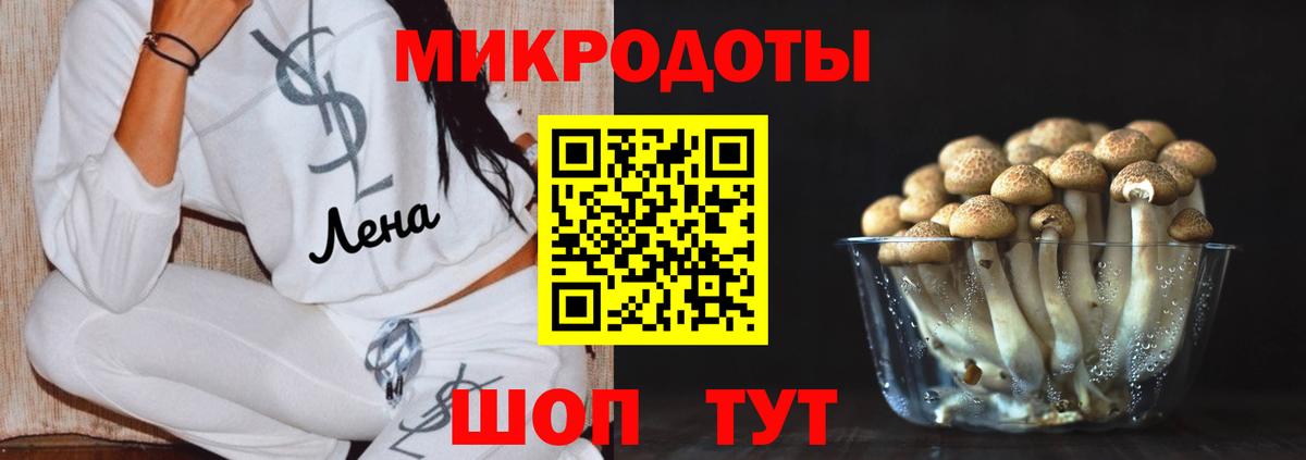 наркотики  Вход с VPN  Ессентуки  Псилоцибиновые грибы Psilocybe 